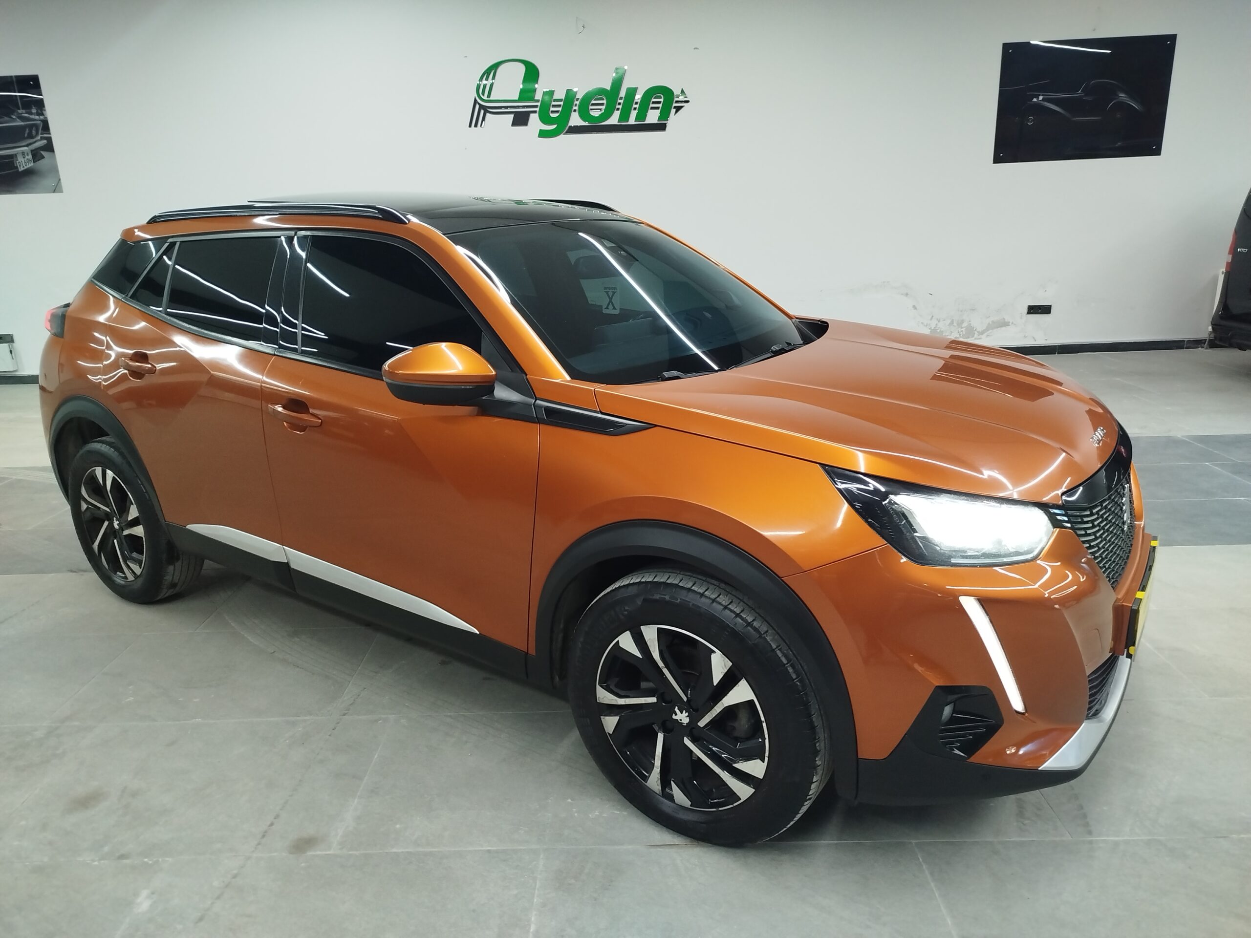 
								AYDIN OTOMOTİV PEUGEOUT 2008 SUV full									